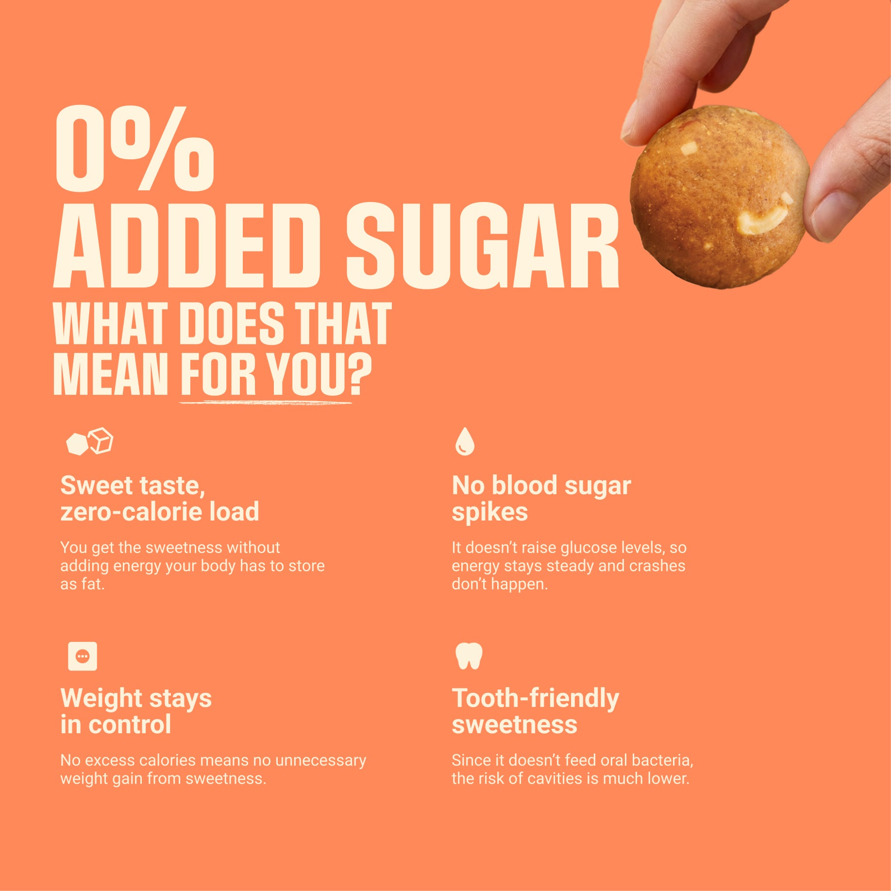 Sugar Free Dry Fruit Besan Laddu