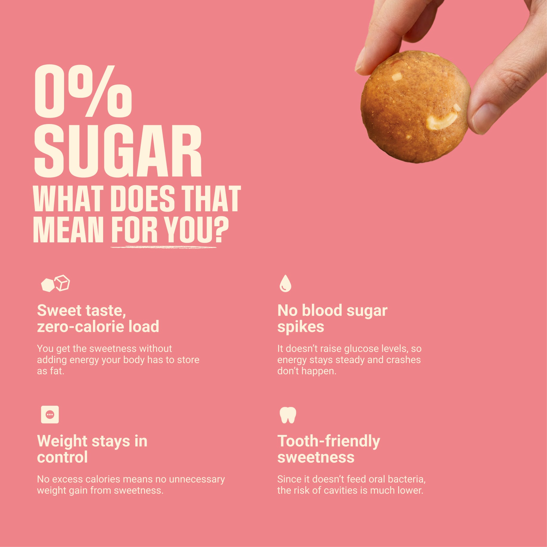 Sugar Free Sattu Dry Fruit Laddu